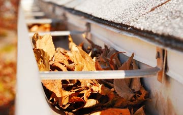 Swanley gutter cleaning companies